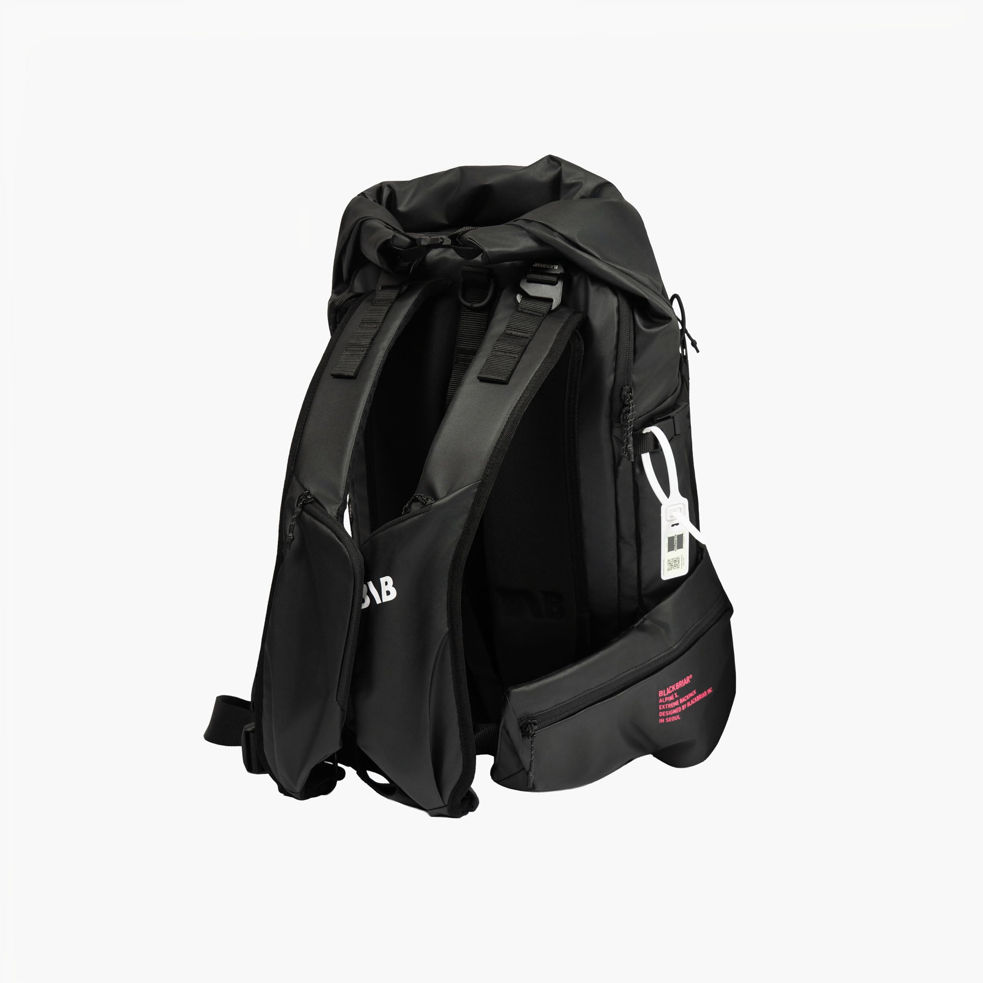 ALPINE X 백팩 25L / 애쉬 블랙
