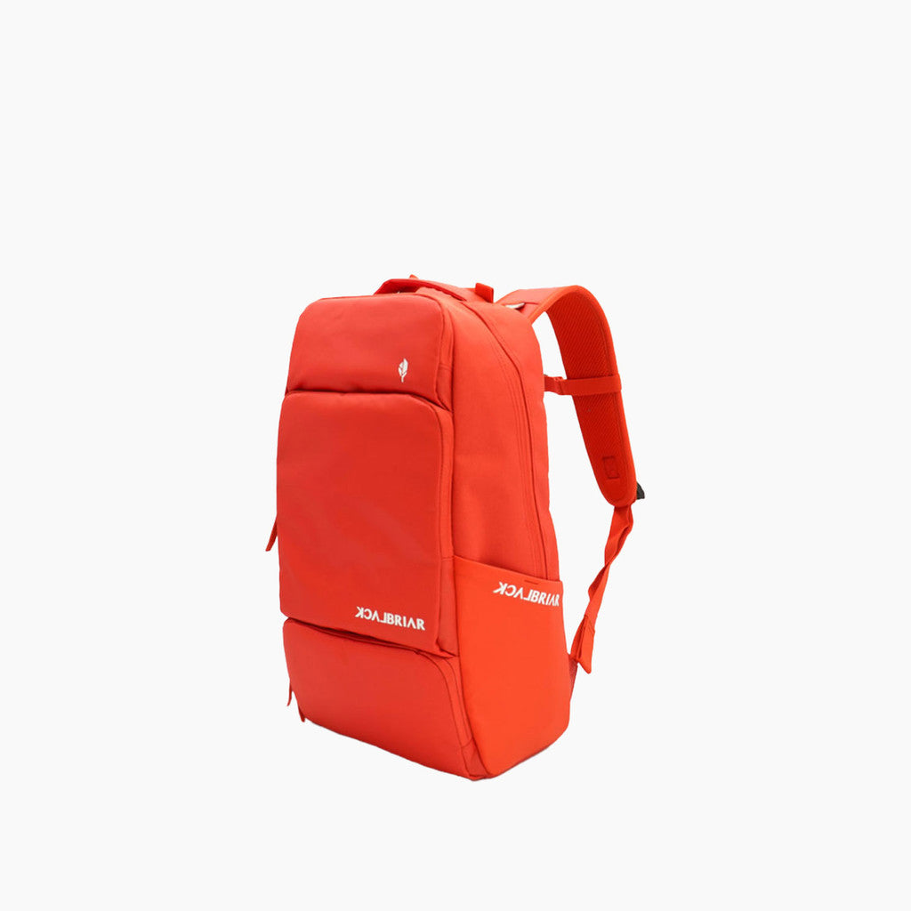 20L 어반 백팩 2.0 / 클라우디 레드